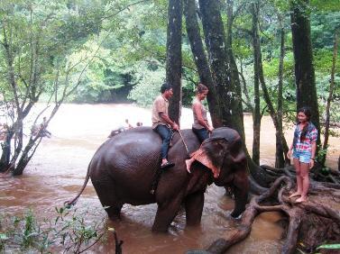 Mondulkiri_Elephant_Mondulkiri